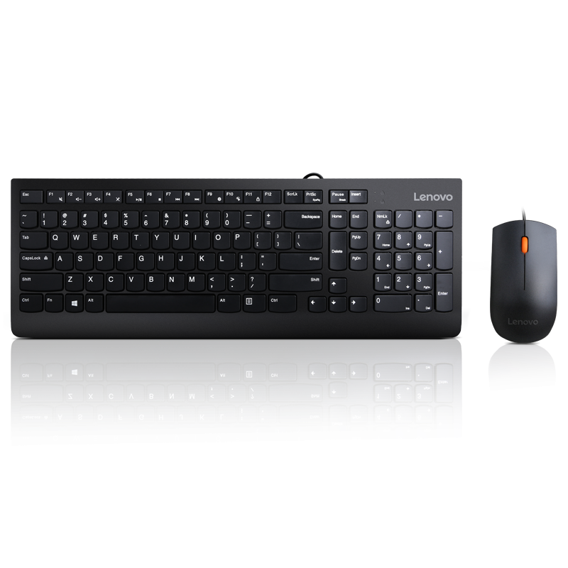 Lenovo 300 USB Combo Keyboard & Mouse Cod Produs: GX30M39606 [7]