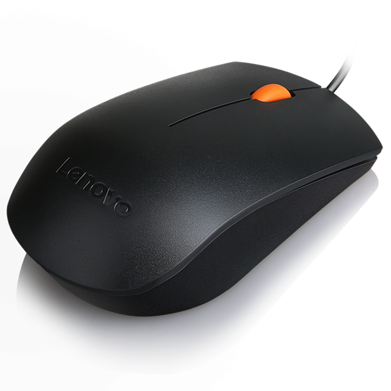 Lenovo 300 USB Combo Keyboard & Mouse Cod Produs: GX30M39606 [2]