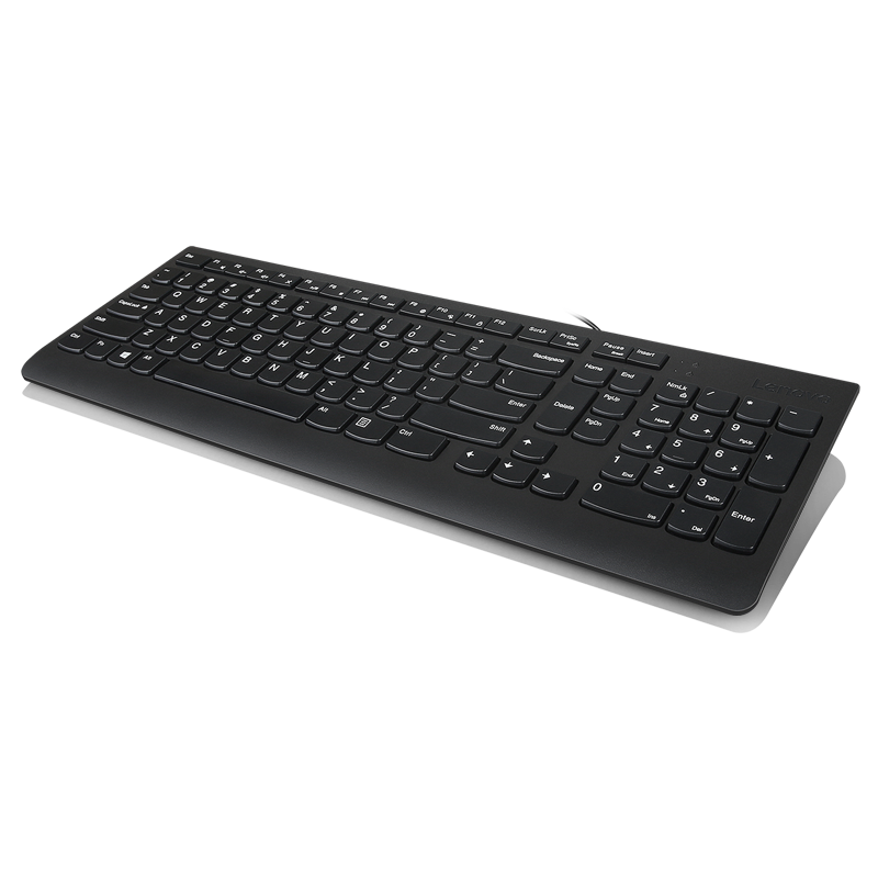 Lenovo 300 USB Keyboard - US English Cod Produs: GX30M39655 [1]